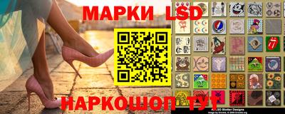 стафф Гатчина