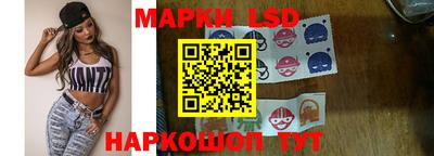 стафф Гатчина