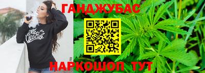 стафф Гатчина