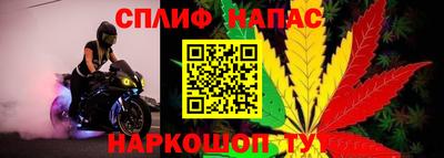 стафф Гатчина