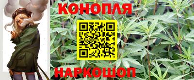стафф Гатчина