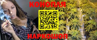 индика Гагарин