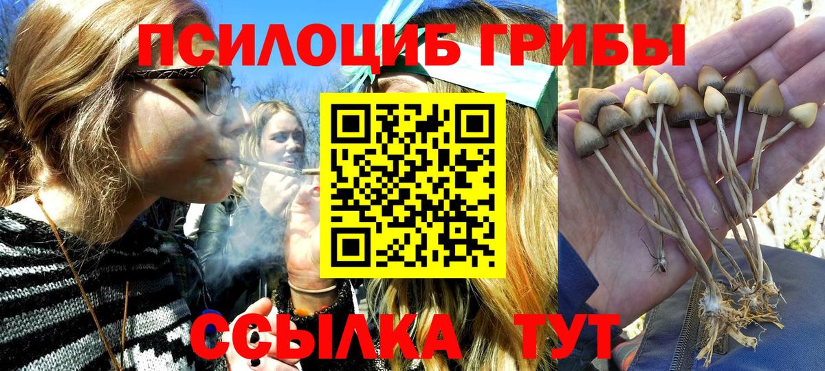 Псилоцибиновые грибы MAGIC MUSHROOMS  Вход с VPN  купить  цена  Миллерово  Псилоцибиновые грибы GOLDEN TEACHER 