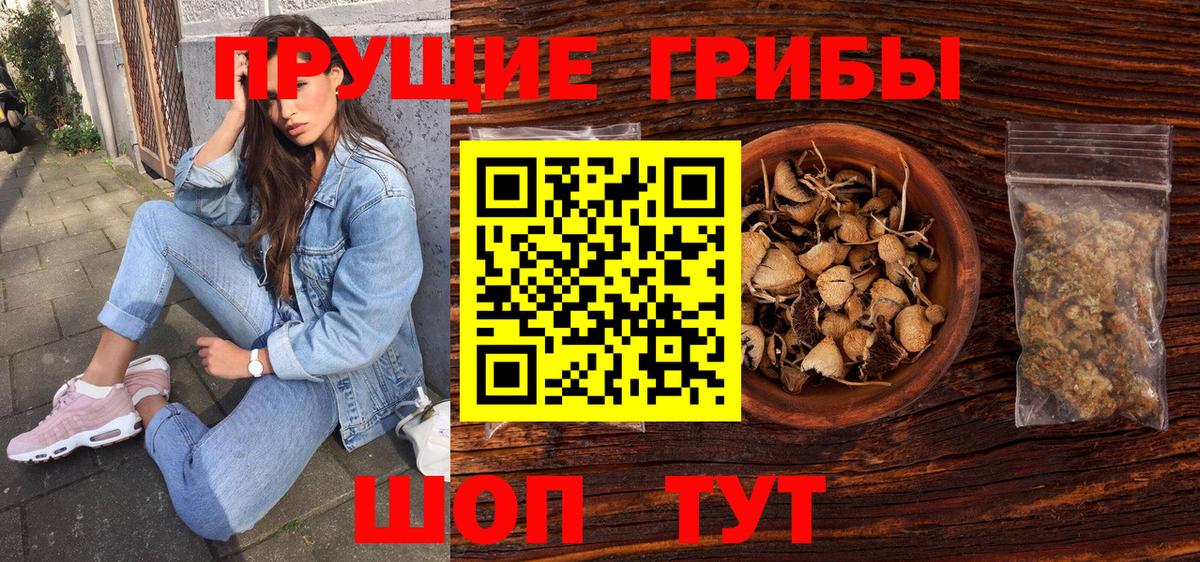 Галлюциногенные грибы Psilocybe Миллерово